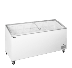 Tefcold Glassfrys IC551SCEB